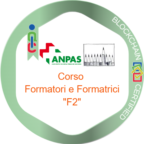 Badge pubblico 62402